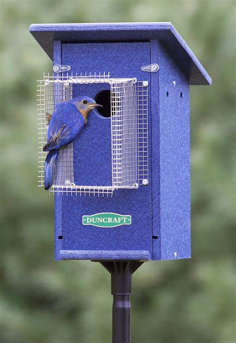 metal pole for bluebird house|base mounted bird house pole.